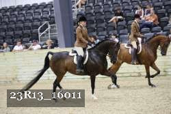 23R13_16011 thumbnail