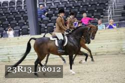 23R13_16012 thumbnail