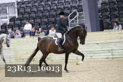 23R13_16013 thumbnail