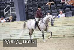 23R13_16014 thumbnail