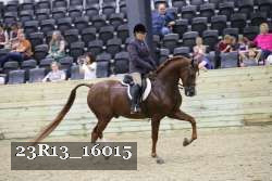 23R13_16015 thumbnail