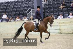 23R13_16016 thumbnail