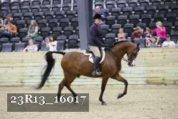 23R13_16017 thumbnail