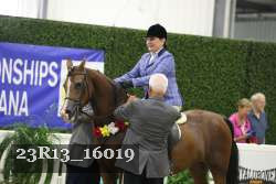23R13_16019 thumbnail