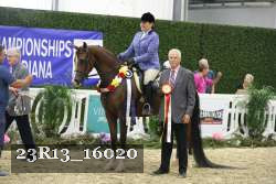 23R13_16020 thumbnail