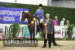 23R13_16021 thumbnail