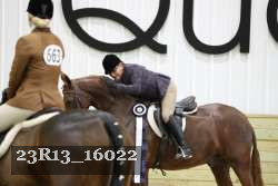 23R13_16022 thumbnail