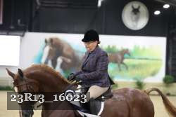 23R13_16023 thumbnail