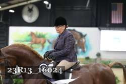 23R13_16024 thumbnail