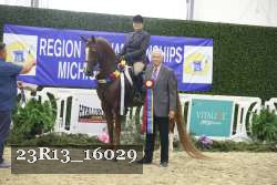 23R13_16029 thumbnail