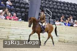 23R13_16030 thumbnail