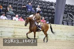 23R13_16031 thumbnail