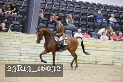 23R13_16032 thumbnail