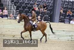 23R13_16033 thumbnail