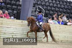 23R13_16034 thumbnail