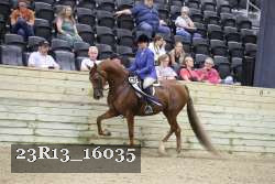 23R13_16035 thumbnail