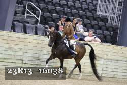 23R13_16038 thumbnail