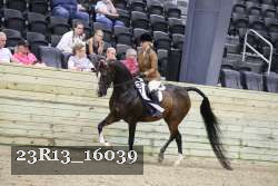 23R13_16039 thumbnail