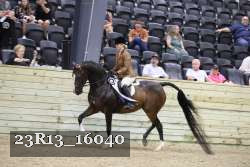 23R13_16040 thumbnail