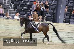 23R13_16041 thumbnail