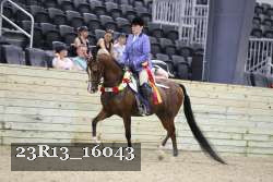 23R13_16043 thumbnail