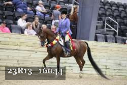 23R13_16044 thumbnail