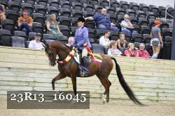 23R13_16045 thumbnail