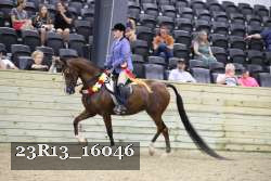 23R13_16046 thumbnail