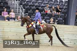 23R13_16047 thumbnail