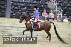23R13_16048 thumbnail