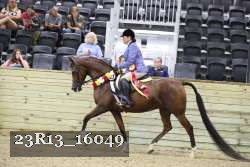 23R13_16049 thumbnail