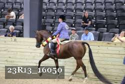 23R13_16050 thumbnail