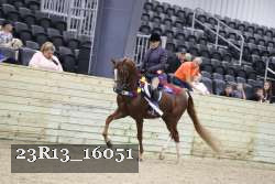 23R13_16051 thumbnail