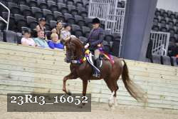 23R13_16052 thumbnail