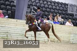 23R13_16053 thumbnail