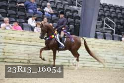 23R13_16054 thumbnail