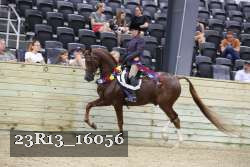 23R13_16056 thumbnail