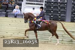 23R13_16058 thumbnail