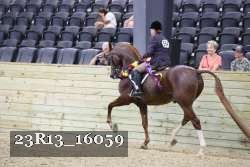 23R13_16059 thumbnail