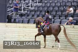 23R13_16060 thumbnail