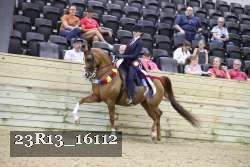 23R13_16112 thumbnail