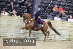 23R13_16113 thumbnail