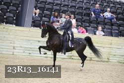 23R13_16141 thumbnail