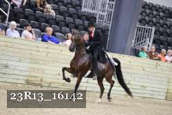 23R13_16142 thumbnail