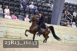 23R13_16143 thumbnail