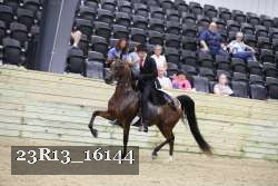 23R13_16144 thumbnail