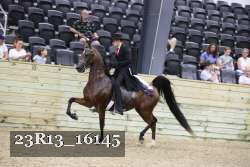 23R13_16145 thumbnail