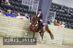 23R13_16146 thumbnail