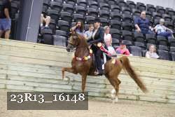 23R13_16148 thumbnail