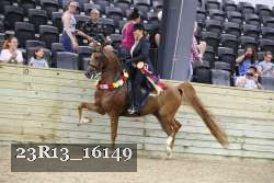 23R13_16149 thumbnail